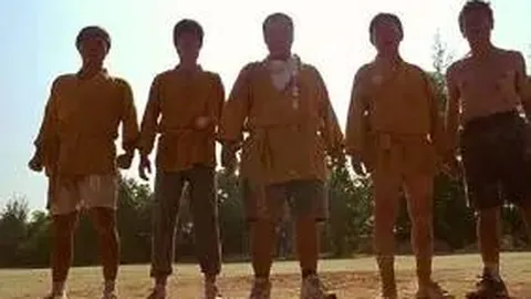 FIFA确定：2025至2030年国际赛期年达43日